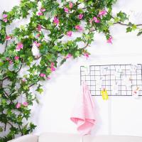 uploads/erp/collection/images/Home Garden/CongDing/XU0611886/img_b/XU0611886_img_b_2